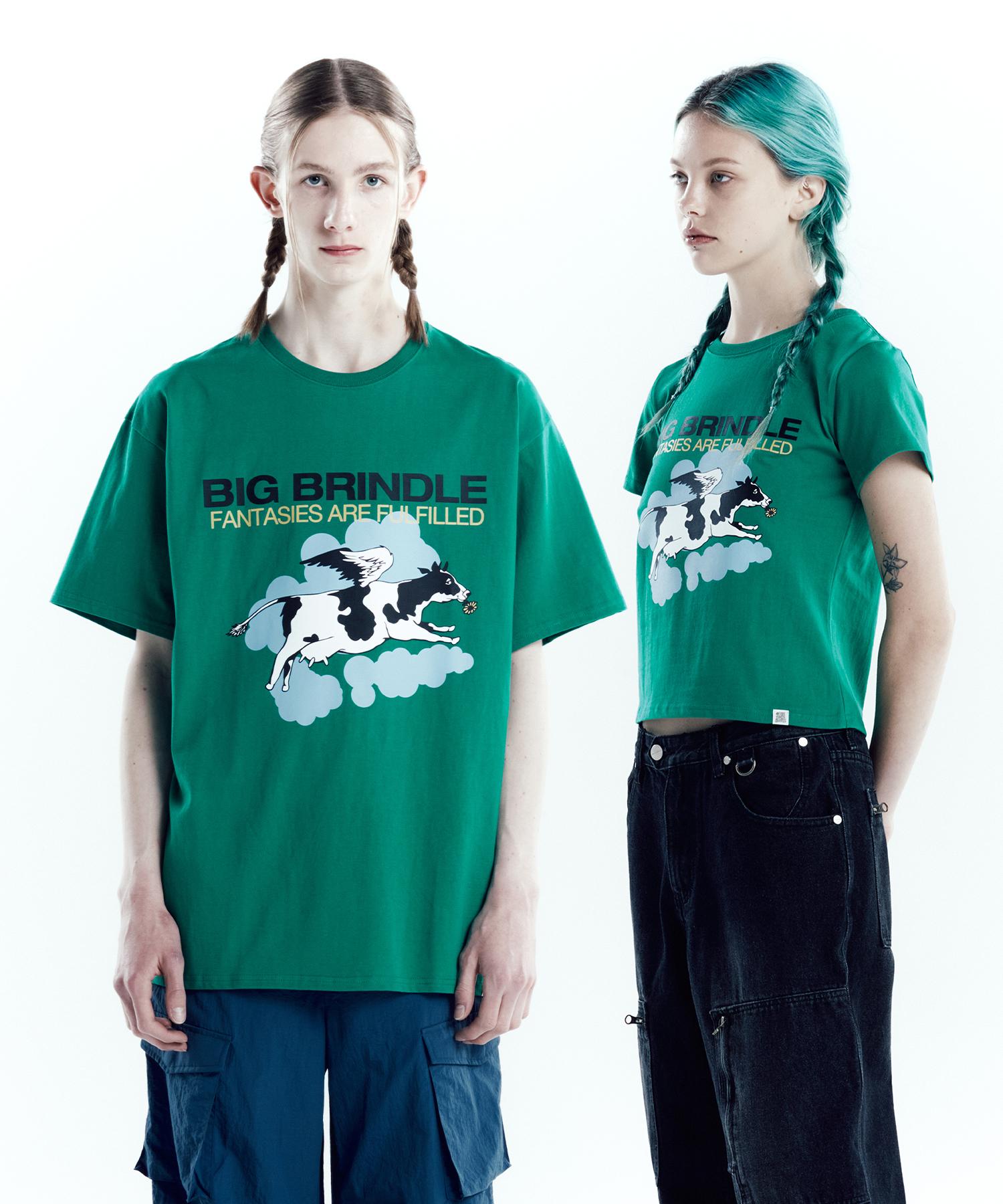 The Vinyl House Big Brindle Tee Green (Vh2Dmut510A) Green/L