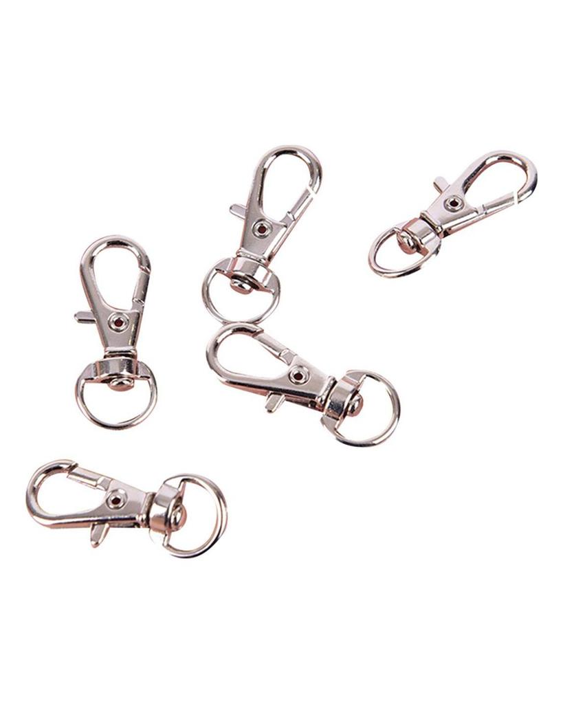 10Pcs Mini Aluminum Alloy Keychain To Make Spring Clip Hook Carabiner
