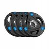 Olympic Cast Iron Weight Set 4X2.5Kg 10Kg 51Mm Plates Rebel