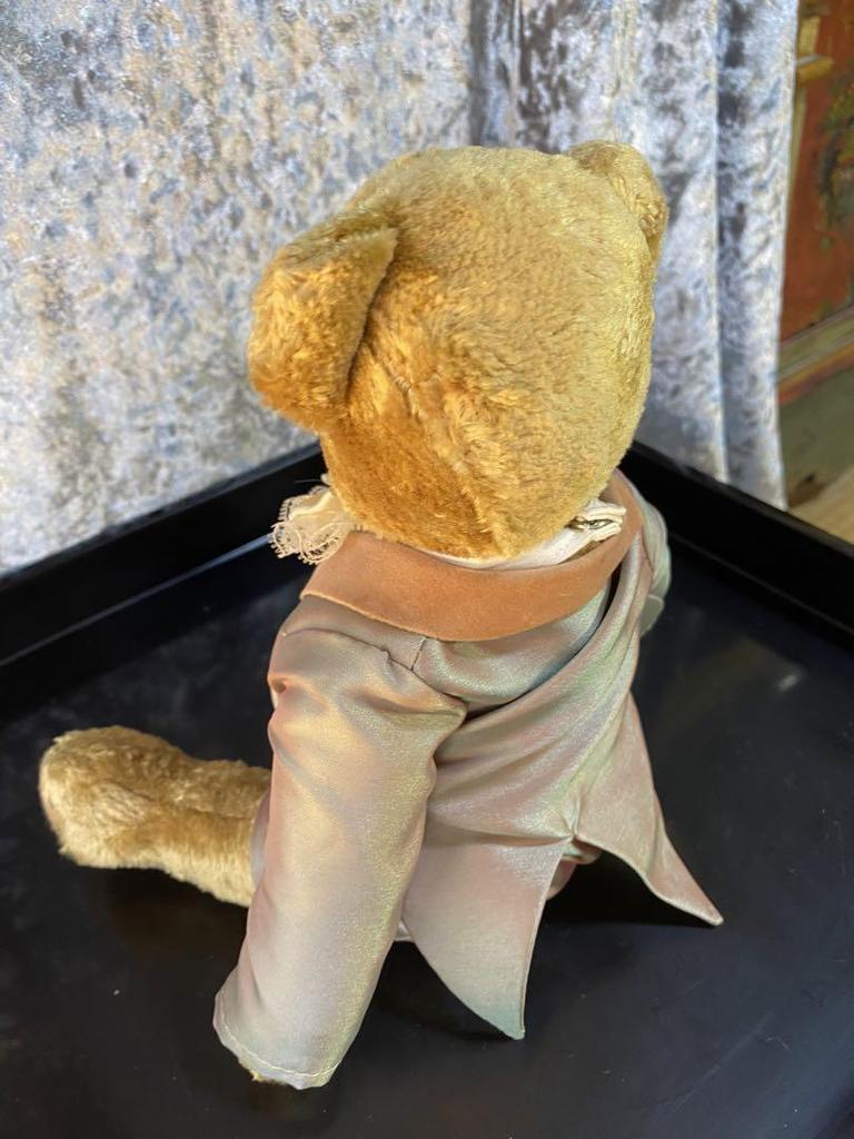 [USED] Teddy Bear In a Tuxedo