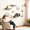 Wall shelves for cats, set of 6-piece wall furniture, acrylic bubble hammock, condo, hammock, ladder, beige