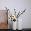 Nordic Matte Frosted Ceramic Vase with Vertical Stripes - Decorative Soft Furnishing for Living Room Entrance