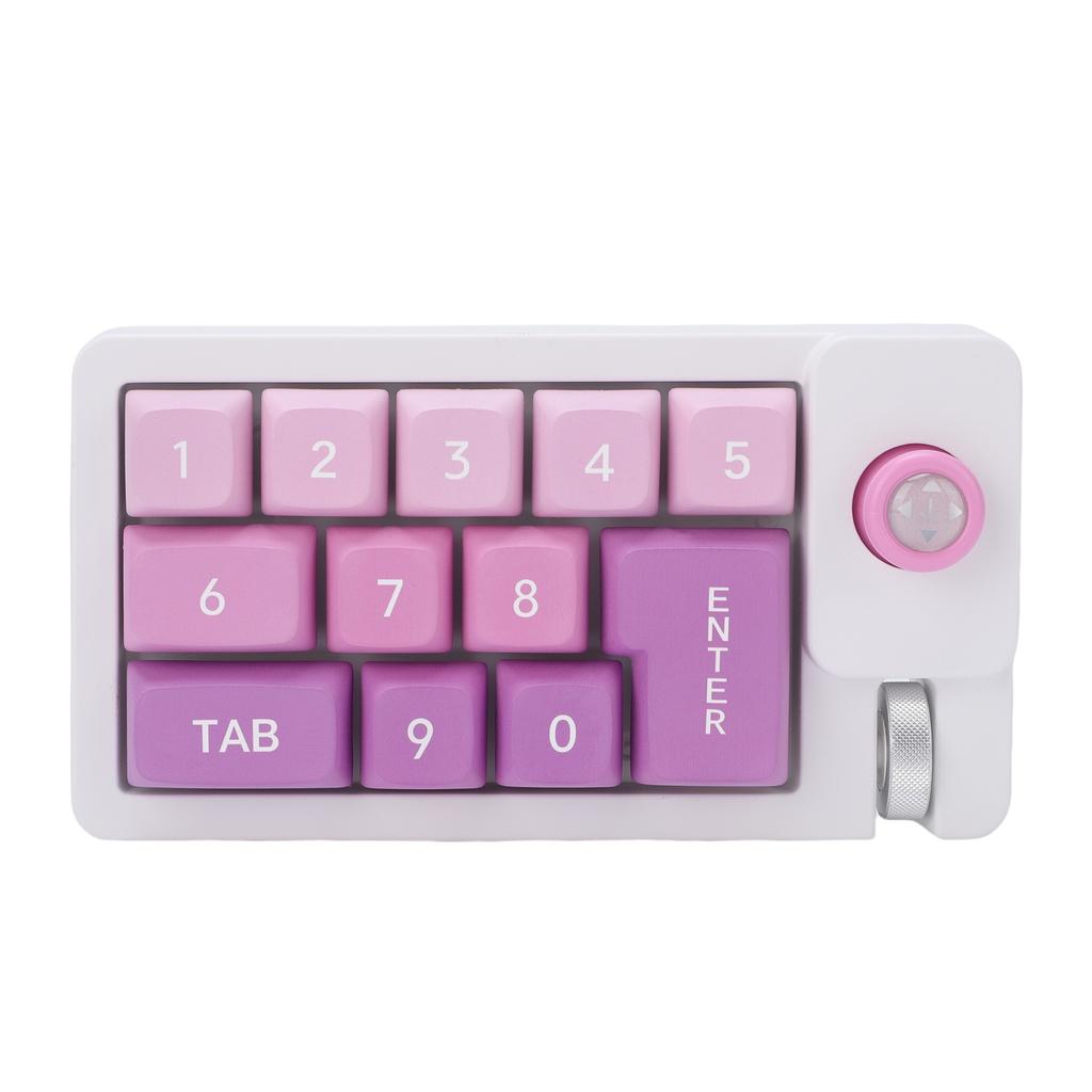 Wired Mechanical Number Pad Type C Hot Swappable Numpad Keyboard with 12 RGB LED Backlight Joystick Roller