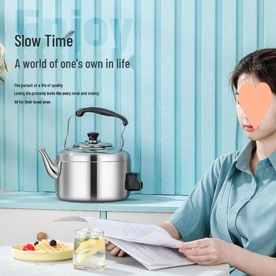 Elektrischer Wasserkocher und Teekanne aus Edelstahl mit großem Fassungsvermögen