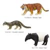 Colorata 3D Animal Encyclopedia Zoogeography Box Oriental Region Real Figure Set 12 Animals with Guide Book