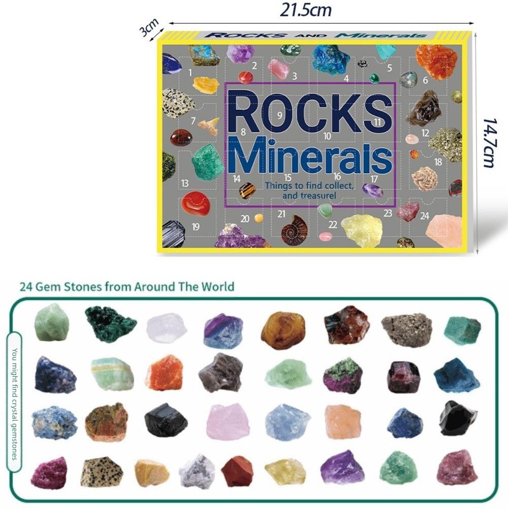 

Unique Rock Mineral Specimens 24 Day Christmas Stone Learning Kit Crystal Collection Gift