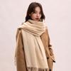 Thickened Imitation Cashmere Scarf Korean Style Women Shawl Simple Winter Neckerchief  Autumn