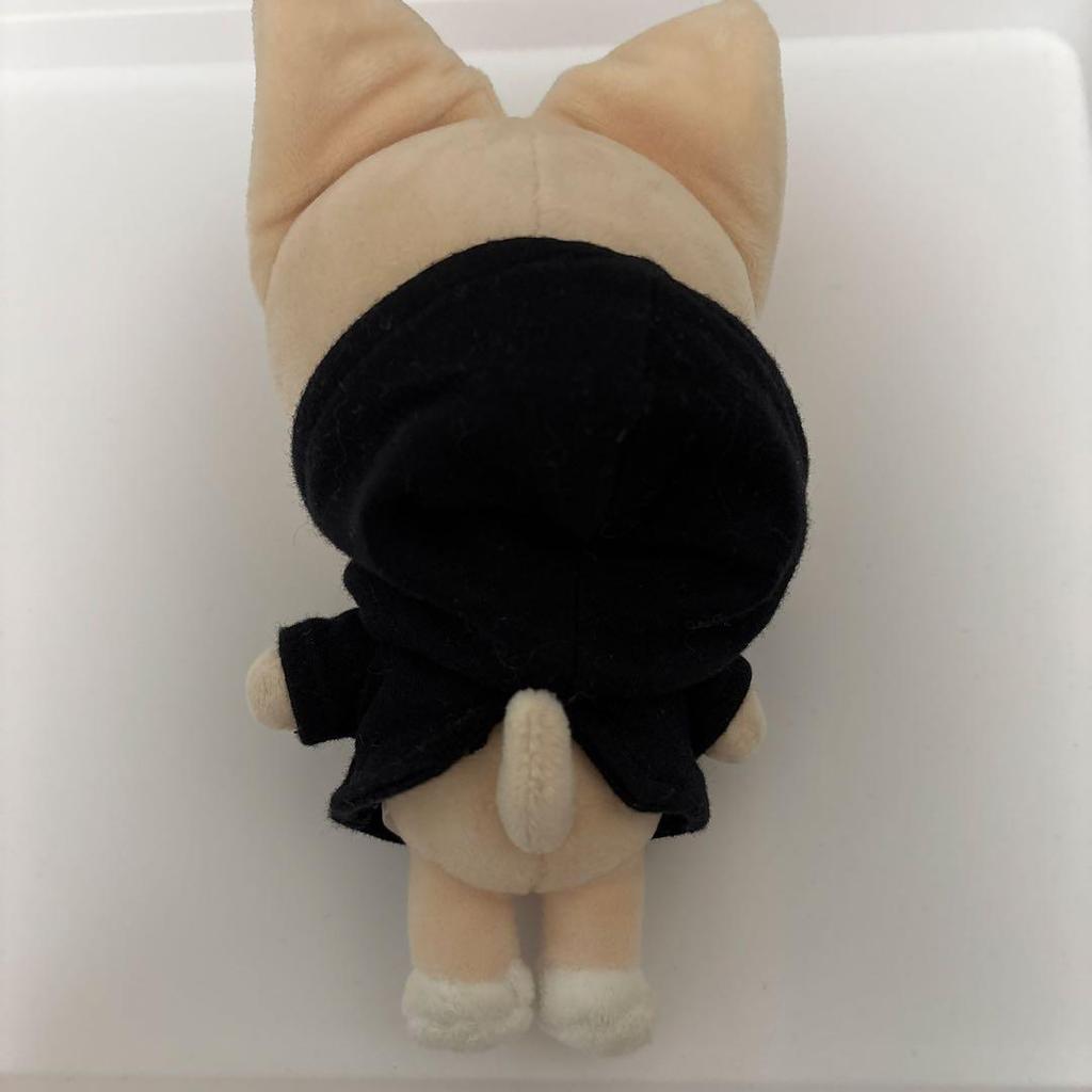 [USED] Stray Kids THE VICTORY SKZOO Foxxyny