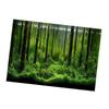 PVC Adhesive Underwater Forest Tank Background Poster Backdrop Decoration Paper