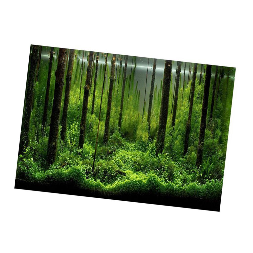 PVC Adhesive Underwater Forest Tank Background Poster Backdrop Decoration Paper
