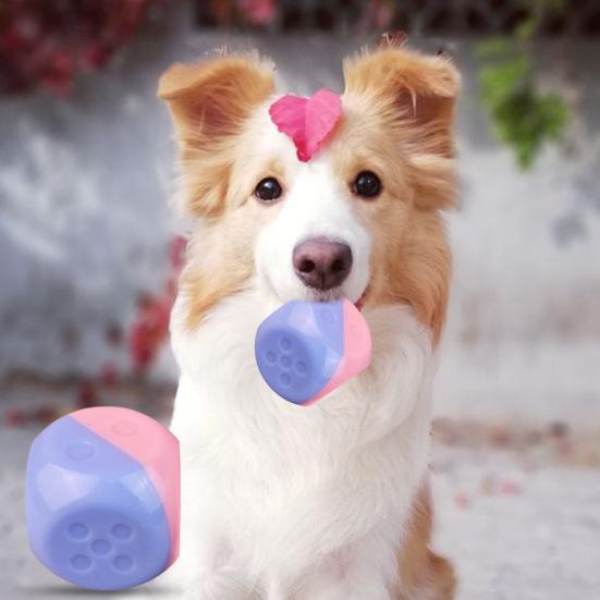Yousheng Balle à nourriture qui fuit pour animaux de compagnie Résistante aux morsures Forme de dé Cubique Jouet distributeur de friandises interactif pour chien Fournitures pour animaux de compagnie