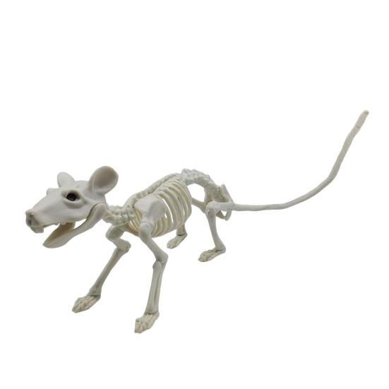 Halloweenské zvířecí kostry Pes Netopýr Žába Štír Pavouk Had Krysa Kostní kostry pro Halloweenskou párty Strašidelný dům Hřbitovní scéna Dekorace