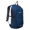 Regatta Highton V2 20L Backpack