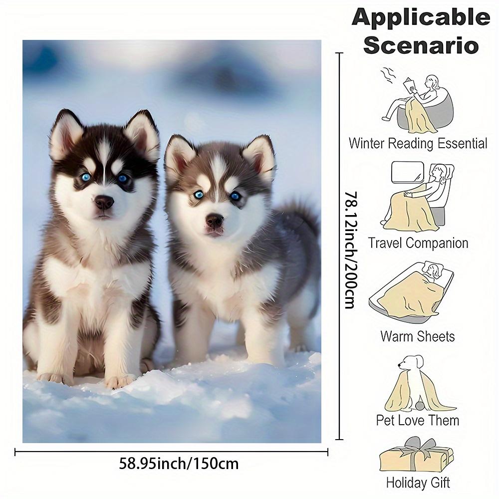 Design Pattern of a Husky Puppy Flannel Printed Blanket Suitable for All Seasons Suitable for Living Room Office Sofa and Travel