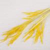 Artificial Simulation Wheat Stalks Fake Flowers Golden Sunshine Color Home Decor Simulated Ear Of Wheat for Farmhouse