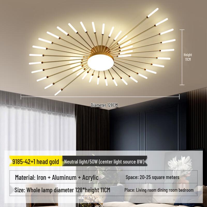 

Modern Firework LED Chandelier Ceiling Light