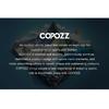 COPOZZ Adjustable Ski Strokes Wrist Gear Hand Protection Roller Palm Pads Protector Snowboard Skating Guard Men Women Child