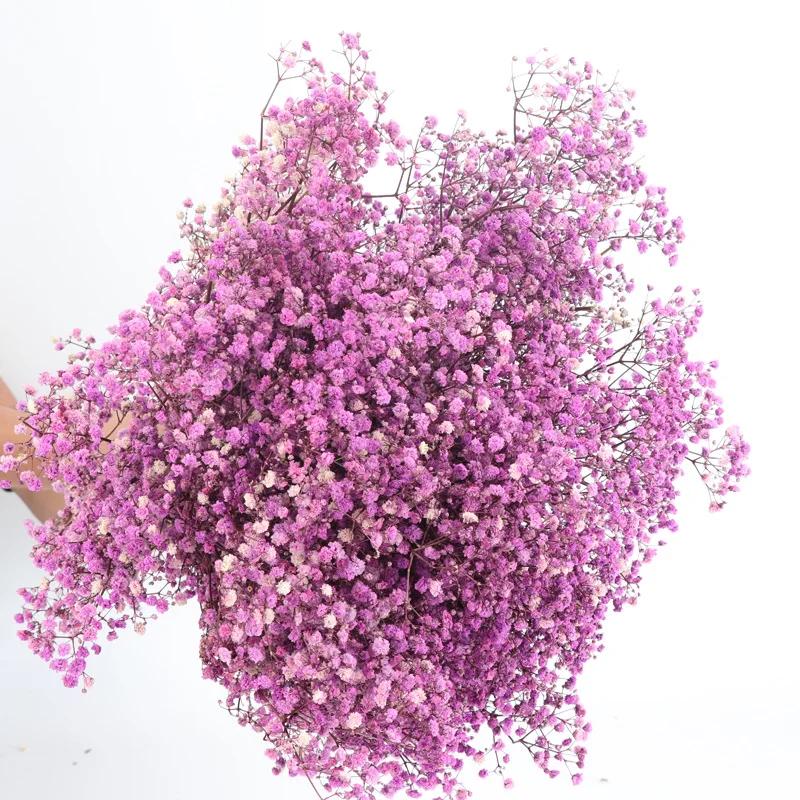Dried Flowers Babys Breath Bouquet Ivory White Flowers Natural Gypsophila Branches for Home Decor Wedding Flowers Bulk for Vase