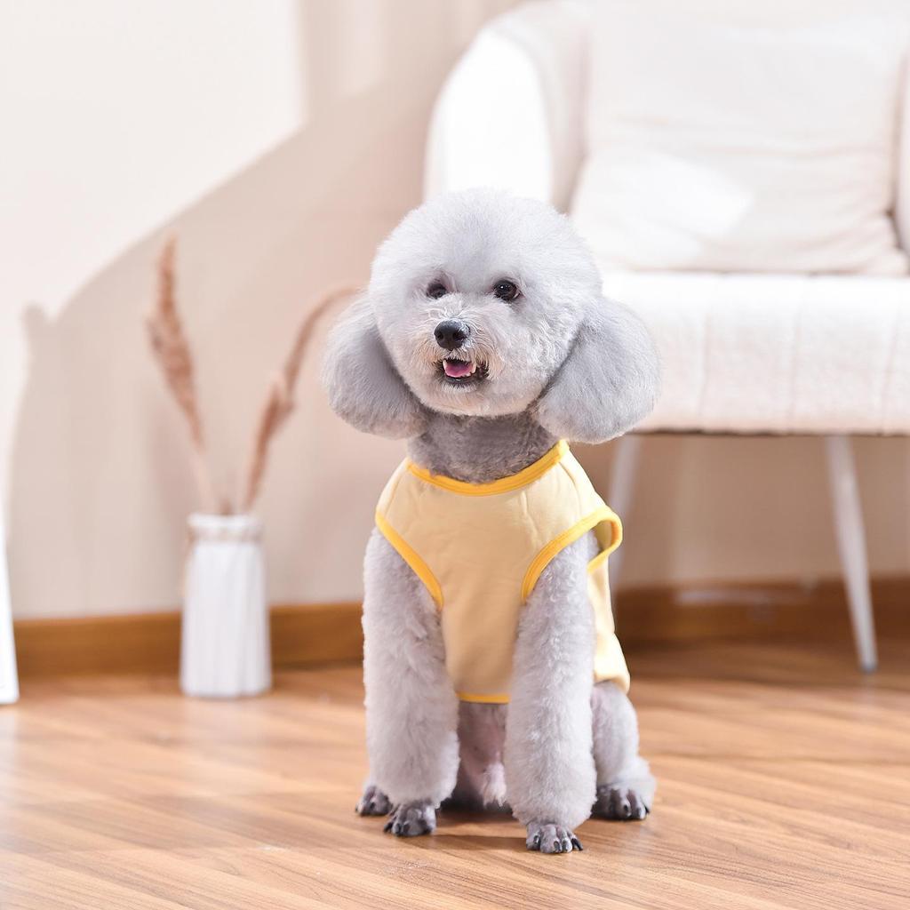 Cartoon Vest for Small & Medium Dogs: Spring & Summer Pet Apparel for Shiba Inu, Bichon Frise, Corgi