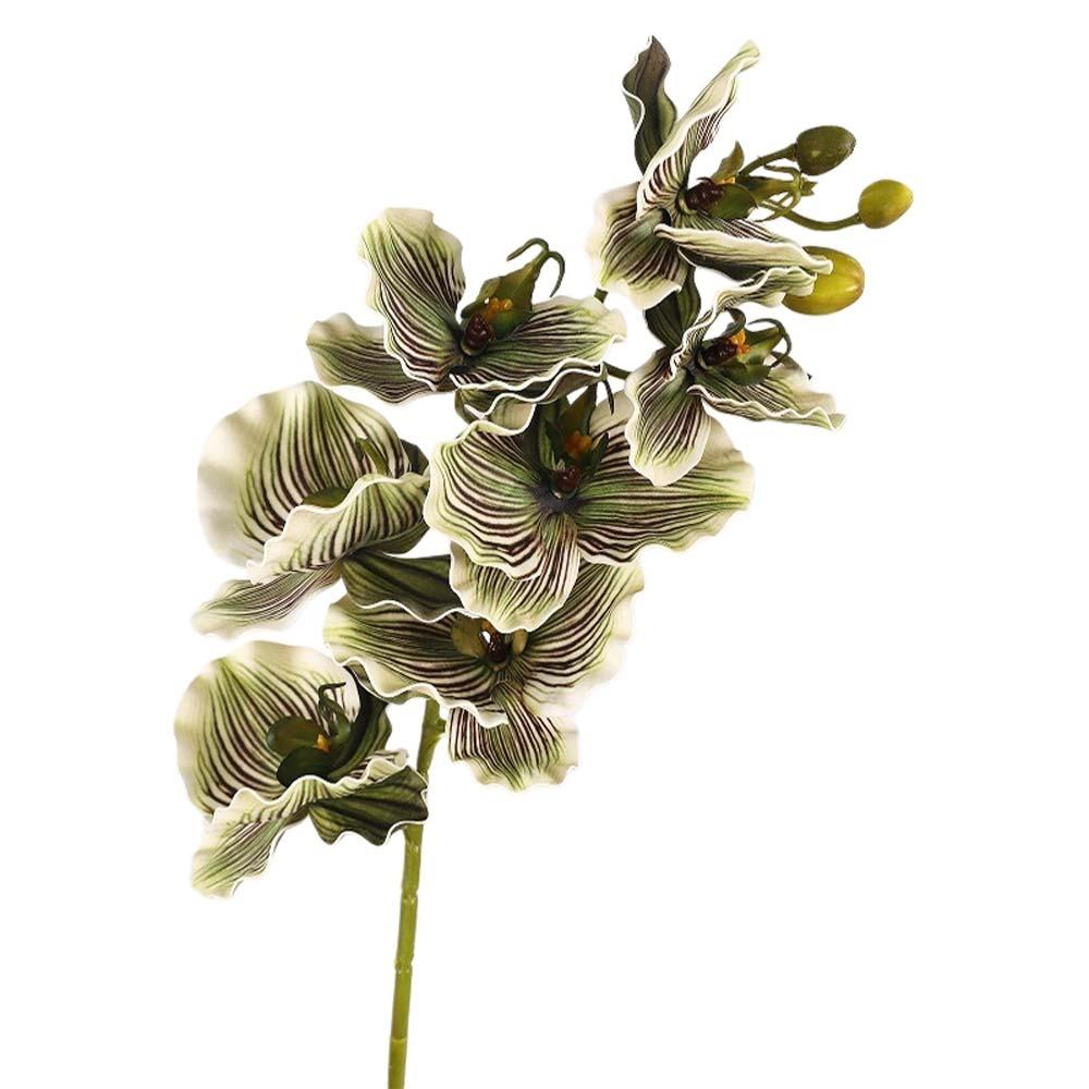 Handmade Simulation Big Moth Orchid Real Touch Faux Phalaenopsis  Wedding Party Favors