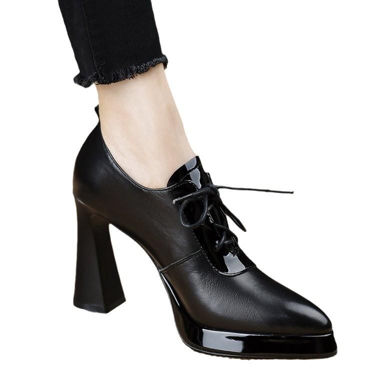 2025 New Color Matching Single Shoes Women's Autumn and Winter Pointed High Heels Thick Heel Trend Design Sense Lace-up Small Leather Shoes Women