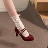 Designer Thick Heel Women Mary Jane Shoes Concise Shallow Belt Buckle Shoes Spring Ladies Outdoor Elegant Dress Dancing Pumps