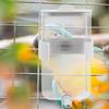 360Ml Transparent Automatic Parrots Waterer No Mess Bird Cage Water Dispenser Hanging Feeder for Budgie Cockatiel Canary Bird