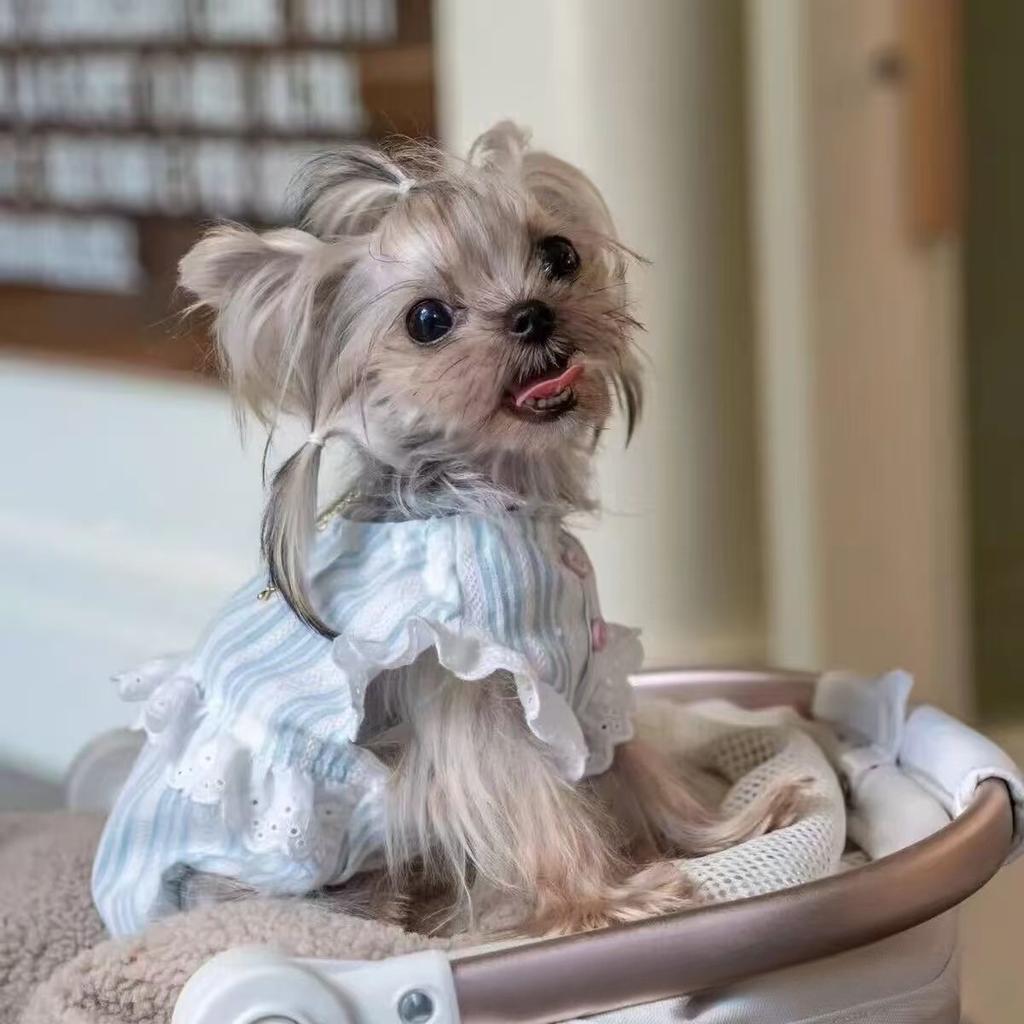 Pet Spring Striped Dress Cat Loose Breathable Flying Sleeve Shirt Small Teddy Tank Top Dog Dresses for Small Dogs