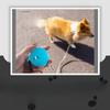 Pet Supplies - Cat, Dog, Small Pets 2M Sturdy and Durable Round and Square Outdoor Mini Small-sized Automatic Retractable Leash