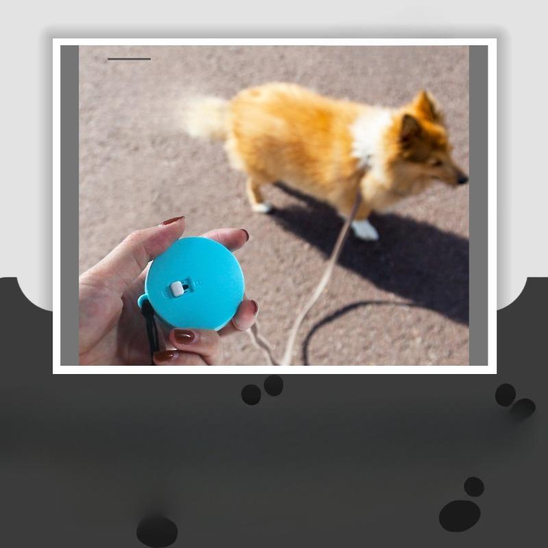 Articoli per Animali Domestici - Gatto, Cane, Piccoli Animali 2M Robusta e Durevole Rotonda e Quadrata Esterna Mini Piccola Taglia Guinzaglio Automatico Retrattile