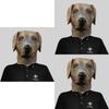 Adorable Labrador Dog Head Mask Cute Animal Costume For Halloween Party Fun Events