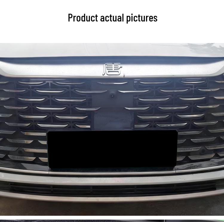BYD Tang DMI Front Grille Insect Protection Net