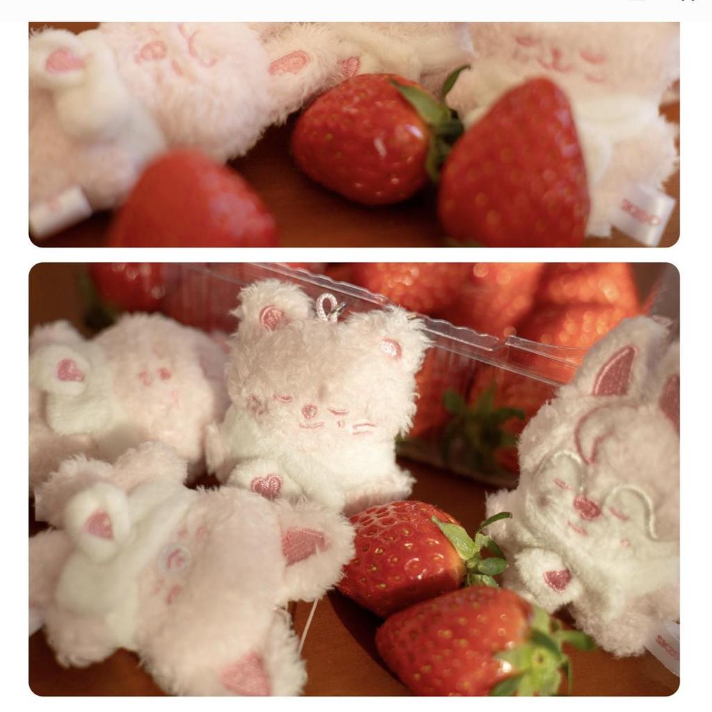 (Pre-order) Stray Kids SKZOO SECRET PLUSH MICRO Ver. - STAY In Our Little House