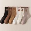 Brownie-Bär Socken (6 Pack)