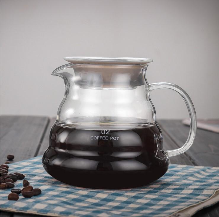 Heat-Resistant Borosilicate Glass Coffee Pot with Drip Filter for Cold Brew