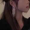 Spicy Girl Vibe: 2025 Sweet & Cool Niche Tassel Earrings - Chic & Slimming Long Design