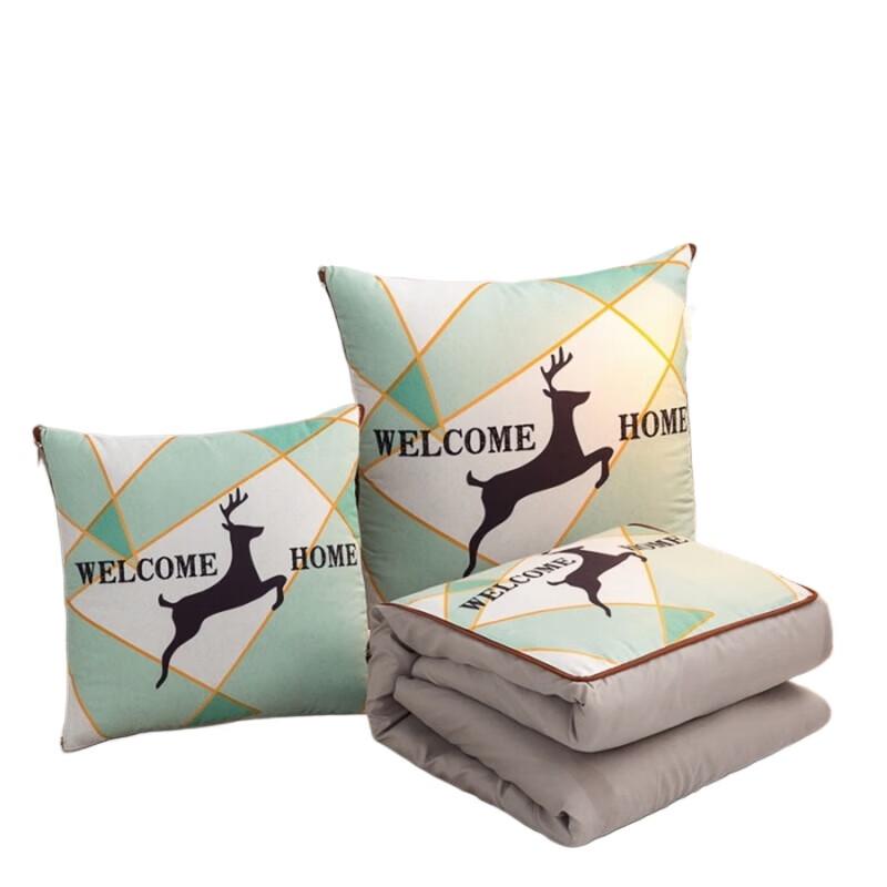 

BAIWEISI Fashion Pillow Quilt