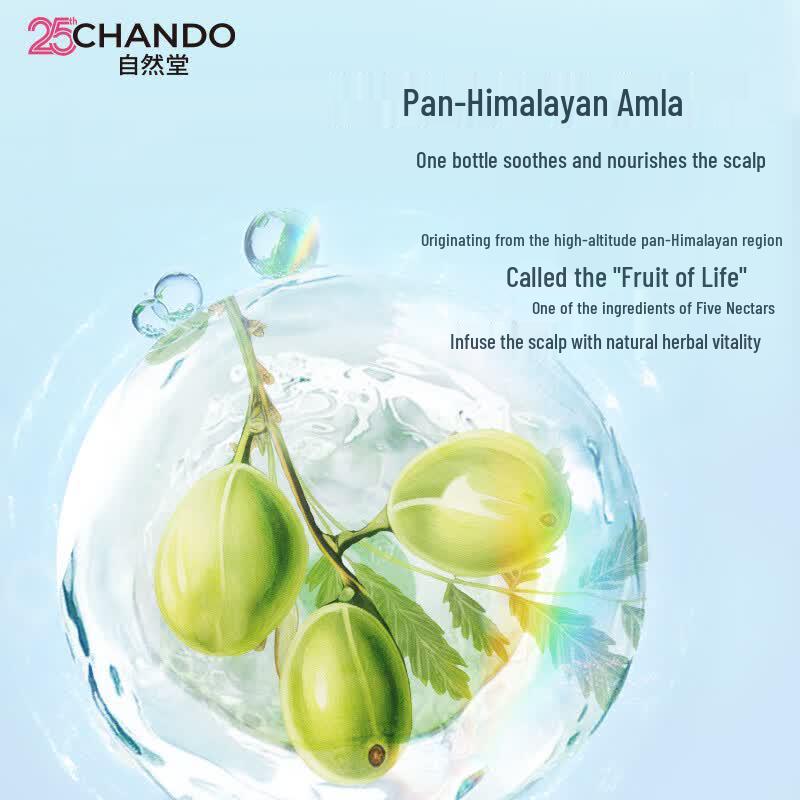 CHANDO Oil Control Volumizing Shampoo