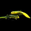 7,5 cm/3 g Siliconen Zachte Salamander Luya Zacht Aas Hagedis Simulatie Zacht Aas Luya Aas