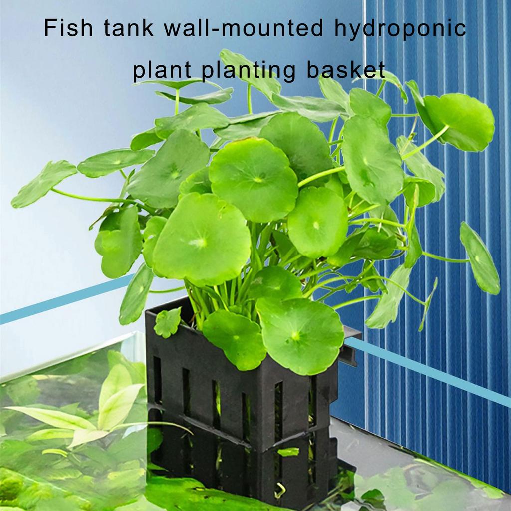 Hanging Fishtanks Plant Holder Fishtanks Plant Cultivation Holder Hydroponic Plant Support Aquariums Planting Tool 2PCS