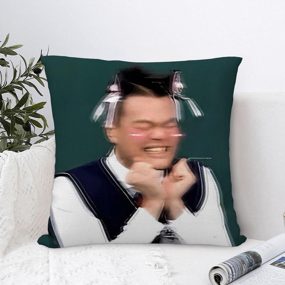 JYP Meme Luxury Pillow Case Sofa Decorative Home Doublesided Print Plush Square Throw Pillow Covers Cushion Decor Cover