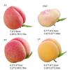 2pcs Artificial Peach Fruit Realistic Faux Fruits Peaches for Home Kitchen Table Decoration and Photography Props