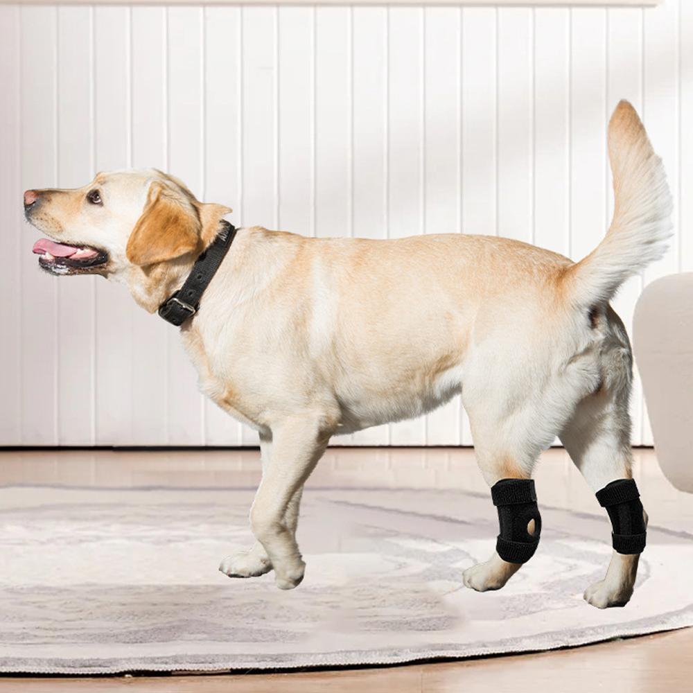 Dog Knee Pads Injury Recovery Support Brace Pet Protector Pain Relief Leg Joint Wrap Breathable Cover Bandage for Foot Health