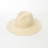 European and American Fashion Casual Hand-woven Papyrus Wide-brimmed Jazz Hat Summer Outdoor Travel Sun Protection Sunshade Straw Hat Tide