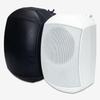 Tianlai 6.5" Wall-Mounted Indoor/Outdoor Waterproof Speaker for Campus, Residential, and Supermarket Use