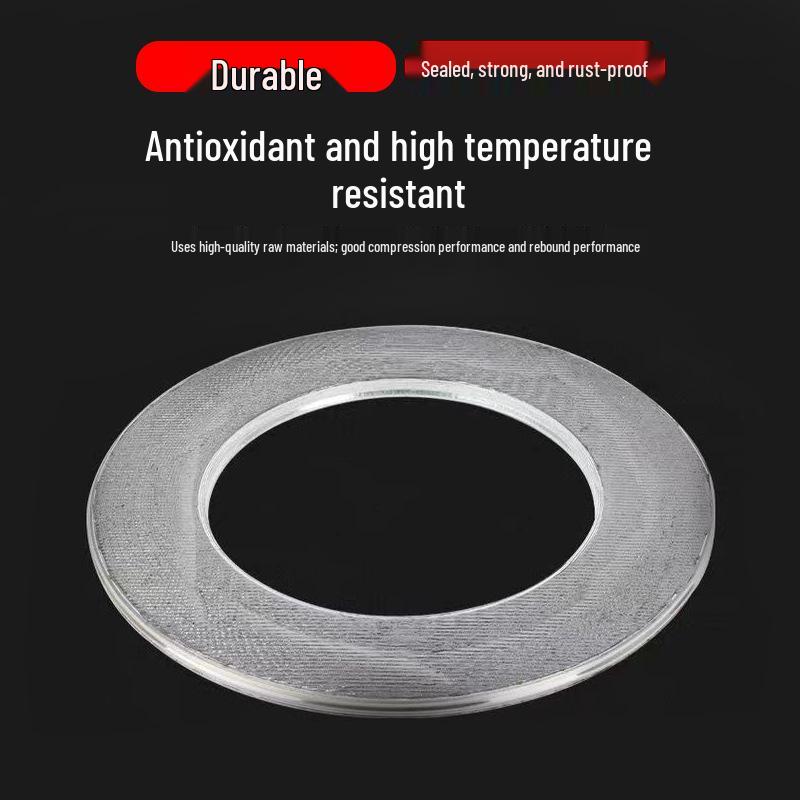 High Temp & Pressure Metal Wound Graphite Flange Valve Gasket