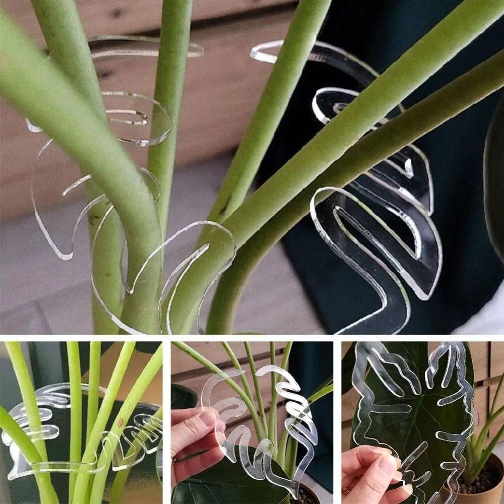

Transparent Flower Leaf Retaining Clip Reusable Plant Stem Support Holder Indoor