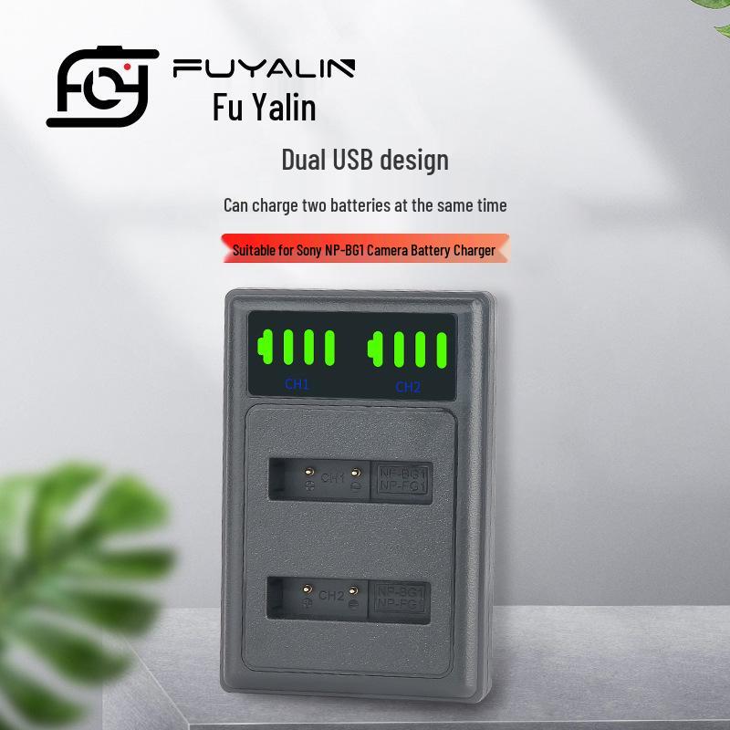 NP-BG1 Charger Compatible with Sony DSC-T100, WX1, W210, W220, H50, HX7, HX9 LED2-BG1