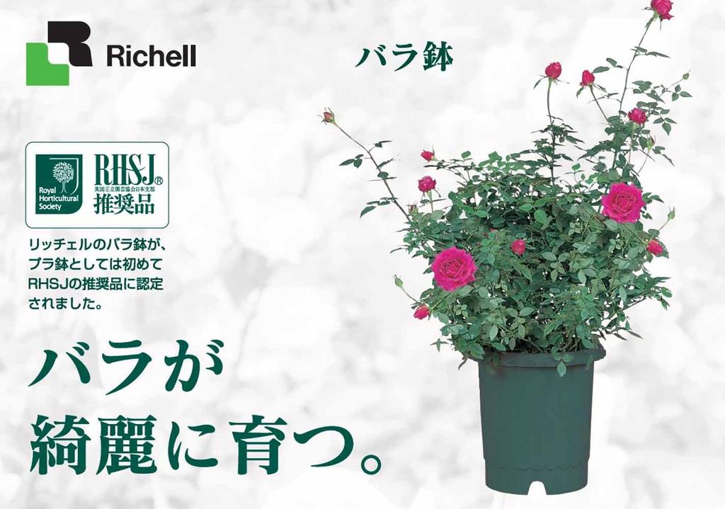 Richelle Rose Pot No. 6 Dark Green