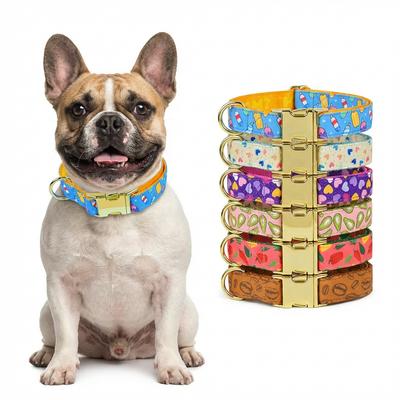 Köpek – Köpek Tasmaları ve Tasma Kayışları